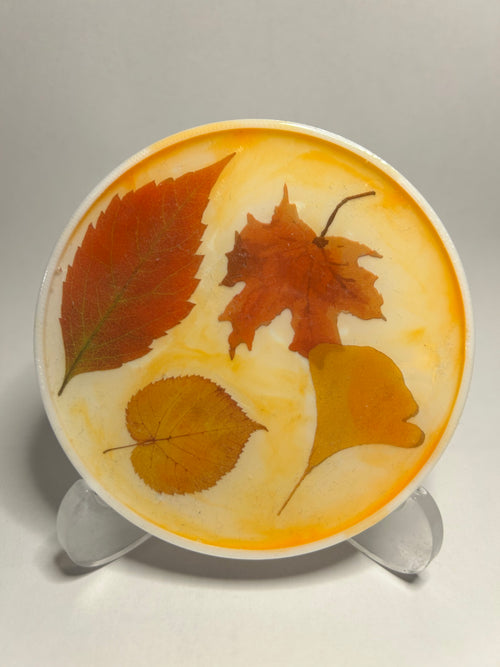 Exklusives Untersetzer-set Herbst