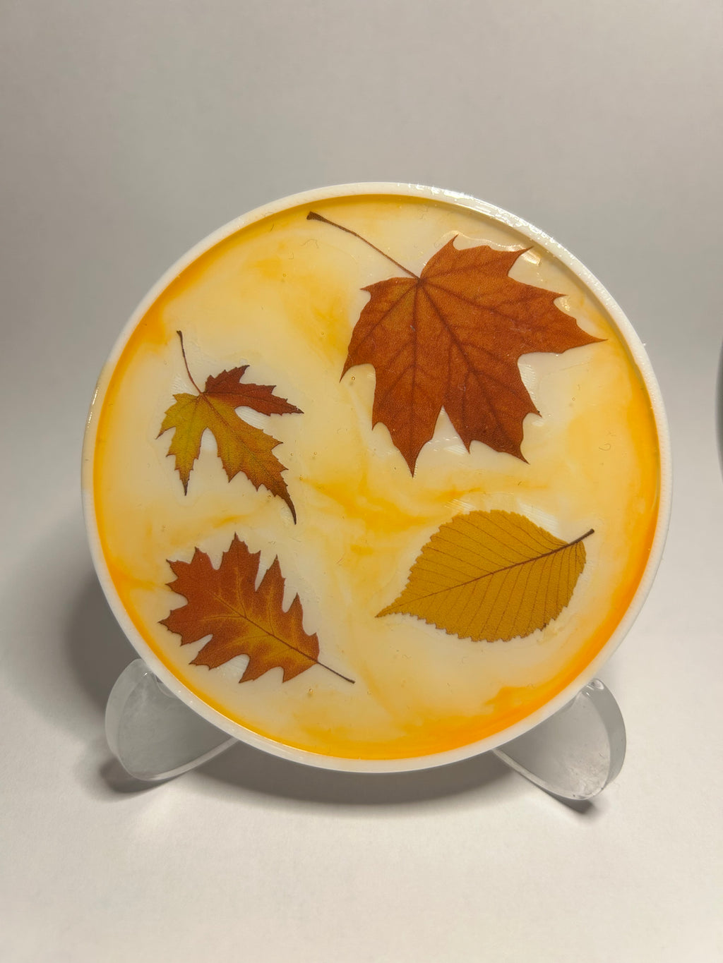 Exklusives Untersetzer-set Herbst