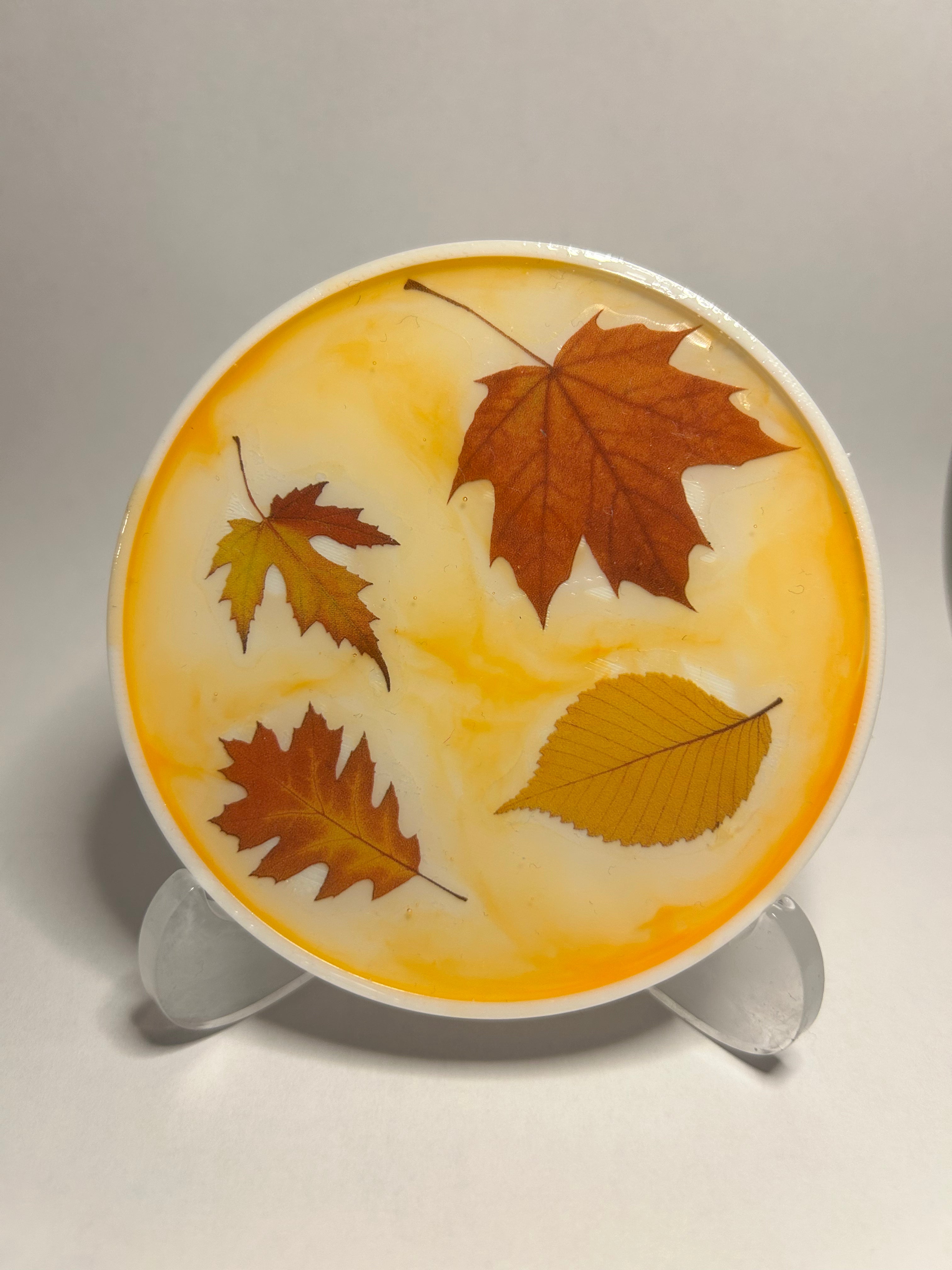 Exklusives Untersetzer-set Herbst