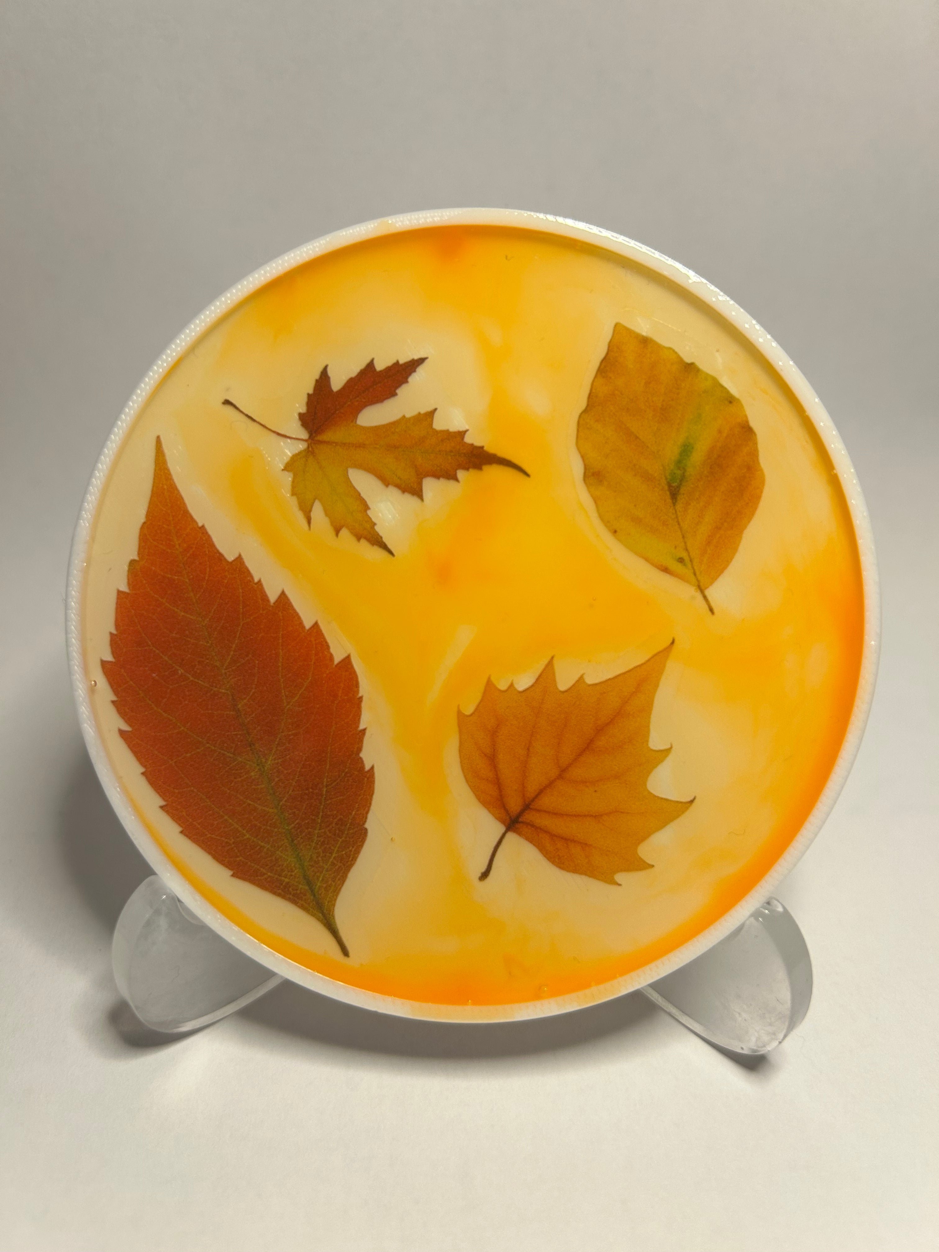 Exklusives Untersetzer-set Herbst