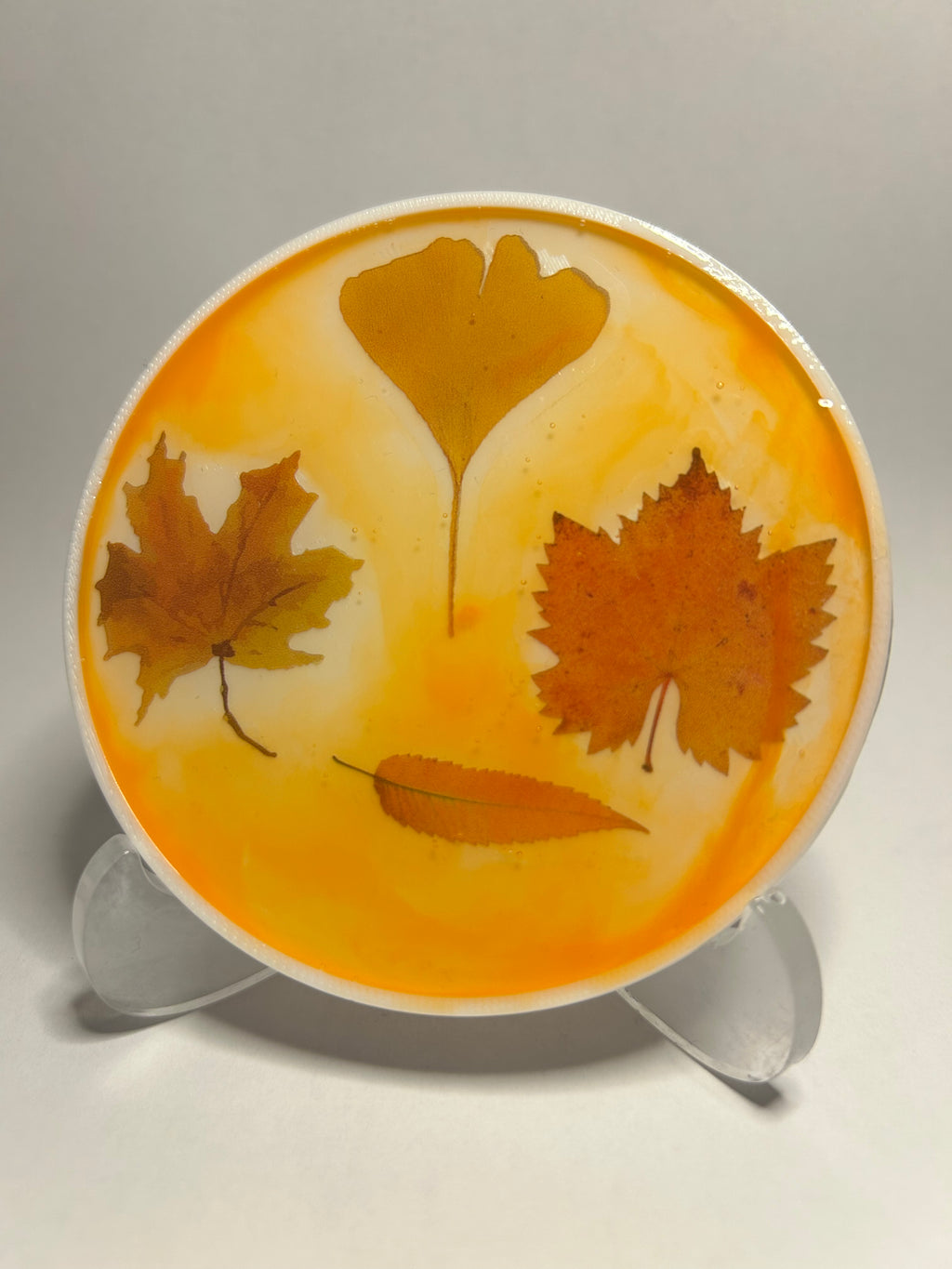 Exklusives Untersetzer-set Herbst