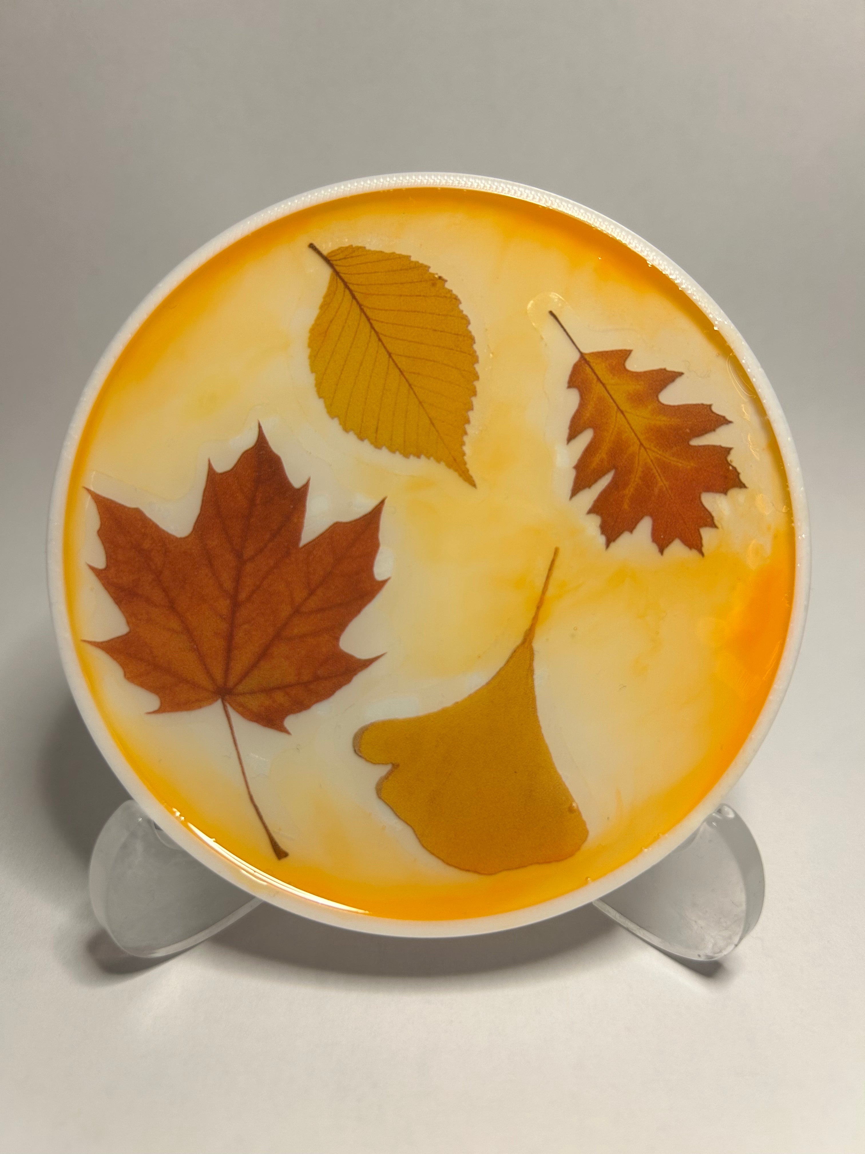 Exklusives Untersetzer-set Herbst