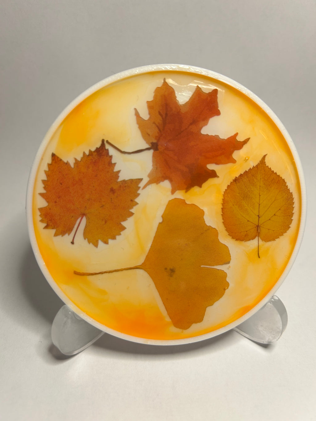 Exklusives Untersetzer-set Herbst